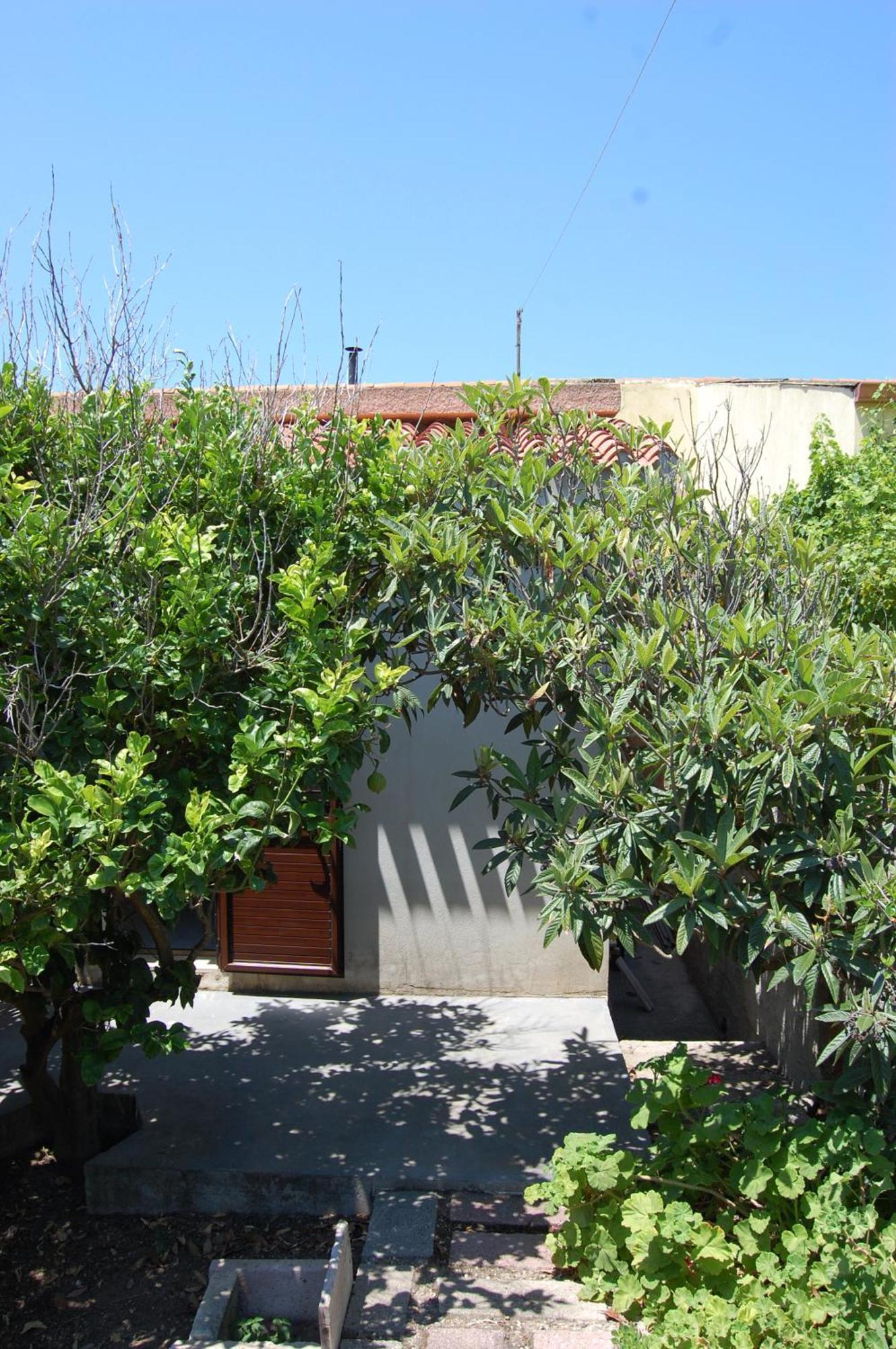 Andrea E Valentina Bed and Breakfast S'archittu Cuglieri Exteriör bild